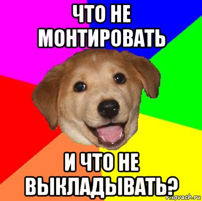 что не монтировать и что не выкладывать?, Мем Advice Dog