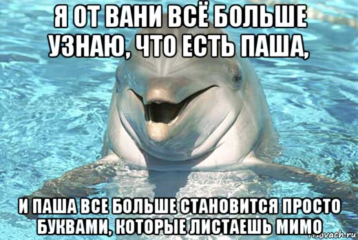 я от вани всё больше узнаю, что есть паша, и паша все больше становится просто буквами, которые листаешь мимо, Мем Дельфин