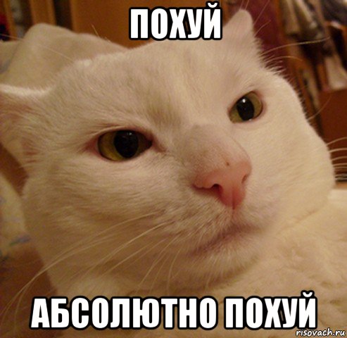 похуй абсолютно похуй