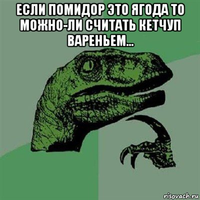 если помидор это ягода то можно-ли считать кетчуп вареньем... , Мем Филосораптор