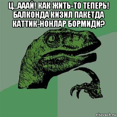 ц...ааай! как жить-то теперь! балконда кизил пакетда каттик-нонлар бормиди? , Мем Филосораптор