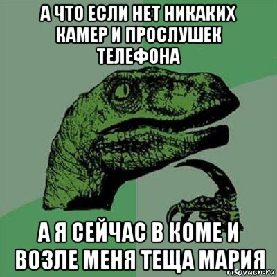 а что если нет никаких камер и прослушек телефона а я сейчас в коме и возле меня теща мария, Мем Филосораптор