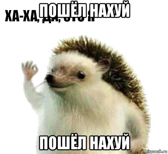 пошёл нахуй пошёл нахуй, Мем Ха-ха да это я