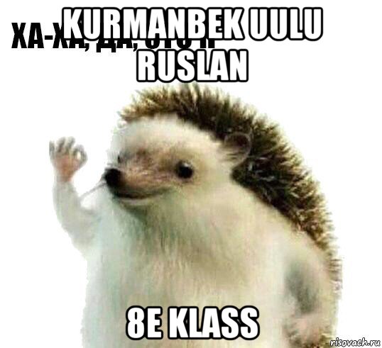 kurmanbek uulu ruslan 8e klass, Мем Ха-ха да это я