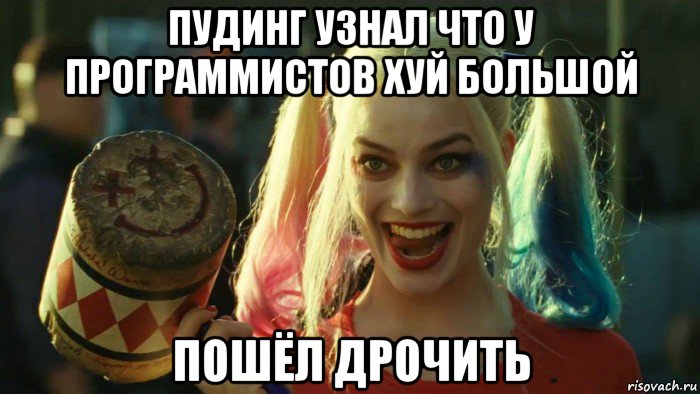 пудинг узнал что у программистов хуй большой пошёл дрочить, Мем    Harley quinn