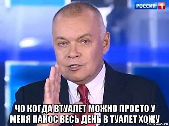  чо когда втуалет можно просто у меня панос весь день в туалет хожу, Мем Киселёв 2014