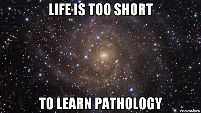 life is too short to learn pathology, Мем  Космос (офигенно)