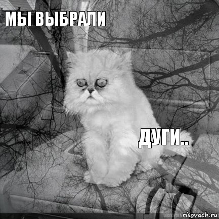 мы выбрали ДУГИ..        , Комикс  кот безысходность