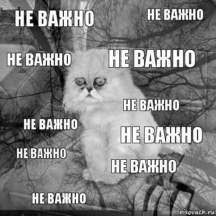 не важно не важно не важно не важно не важно не важно не важно не важно не важно не важно, Комикс  кот безысходность