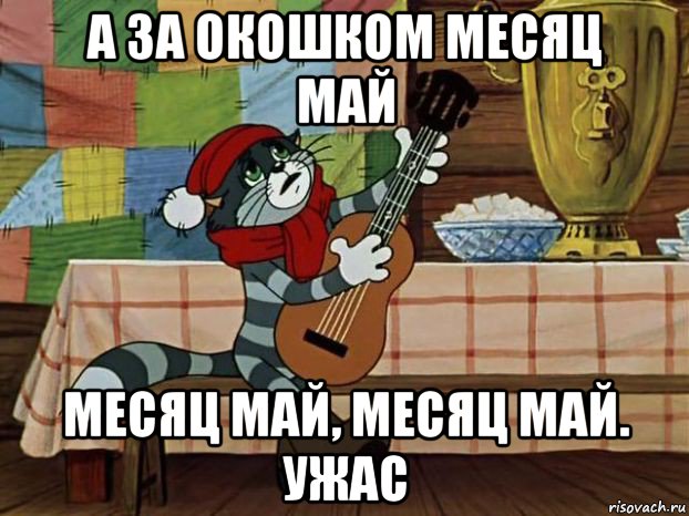 а за окошком месяц май месяц май, месяц май. ужас, Мем Кот Матроскин с гитарой