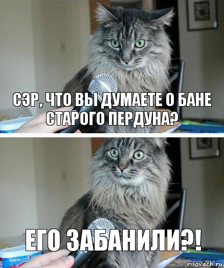 Сэр, что Вы думаете о бане старого пердуна? Его забанили?!, Комикс  кот с микрофоном