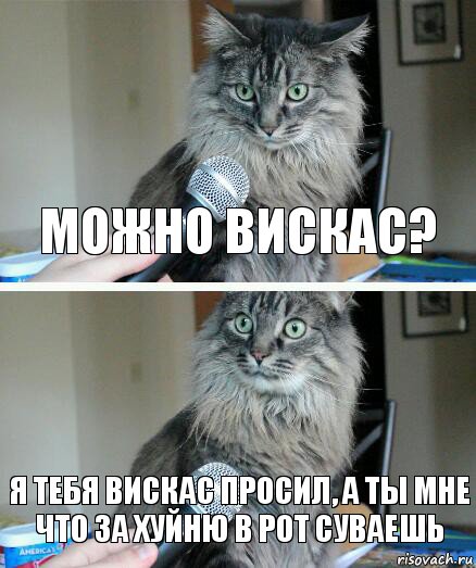 Можно вискас? Я тебя вискас просил, а ты мне что за хуйню в рот суваешь, Комикс  кот с микрофоном