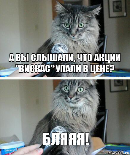 А вы слышали, что акции "Вискас" упали в цене? Бляяя!, Комикс  кот с микрофоном