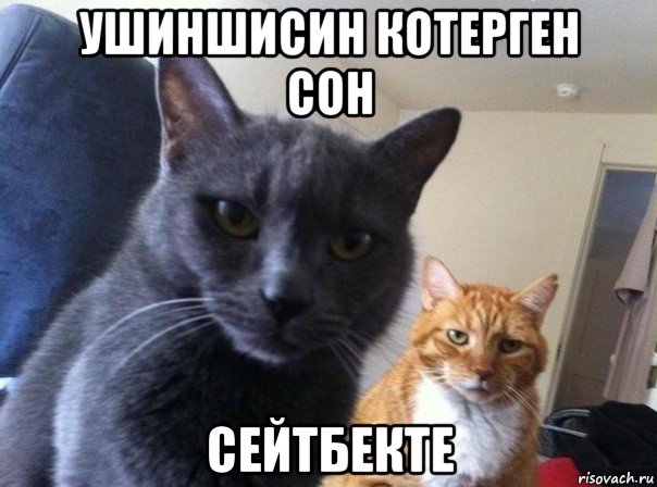 ушиншисин котерген сон сейтбекте