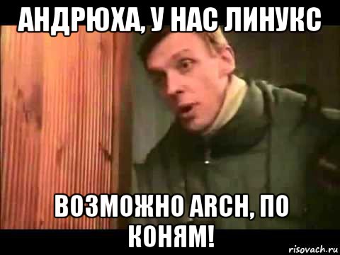 андрюха, у нас линукс возможно arch, по коням!, Мем Ларин по коням