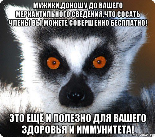 мужики,доношу до вашего меркантильного сведения,что сосать члены вы можете совершенно бесплатно! это ещё и полезно для вашего здоровья и иммунитета!, Мем лемур