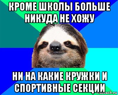 кроме школы больше никуда не хожу ни на какие кружки и спортивные секции, Мем Ленивец