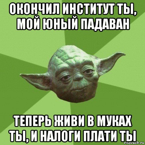 окончил институт ты, мой юный падаван теперь живи в муках ты, и налоги плати ты, Мем Мастер Йода