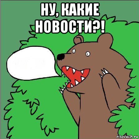 ну, какие новости?! , Мем Медведь-шлюха