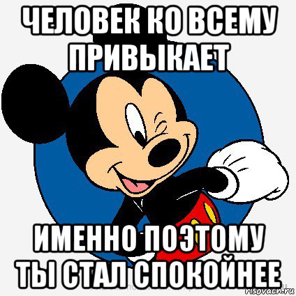 человек ко всему привыкает именно поэтому ты стал спокойнее, Мем микки