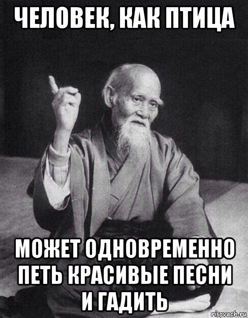 человек, как птица может одновременно петь красивые песни и гадить, Мем Монах-мудрец (сэнсей)