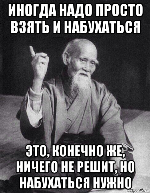 иногда надо просто взять и набухаться это, конечно же, ничего не решит, но набухаться нужно, Мем Монах-мудрец (сэнсей)