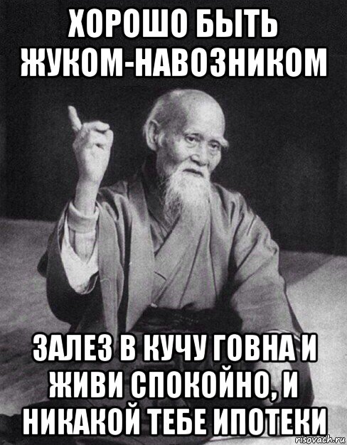 хорошо быть жуком-навозником залез в кучу говна и живи спокойно, и никакой тебе ипотеки, Мем Монах-мудрец (сэнсей)