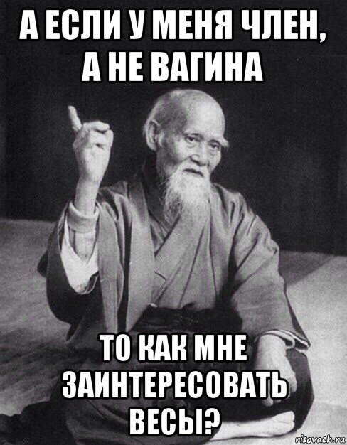 а если у меня член, а не вагина то как мне заинтересовать весы?, Мем Монах-мудрец (сэнсей)