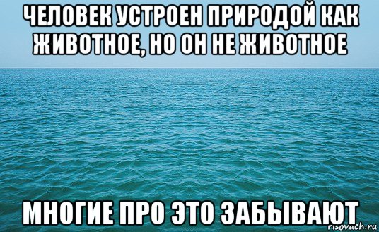 человек устроен природой как животное, но он не животное многие про это забывают, Мем Море