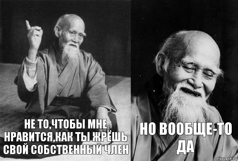 не то,чтобы мне нравится,как ты жрёшь свой собственный член но вообще-то да, Комикс Мудрец-монах (2 зоны)