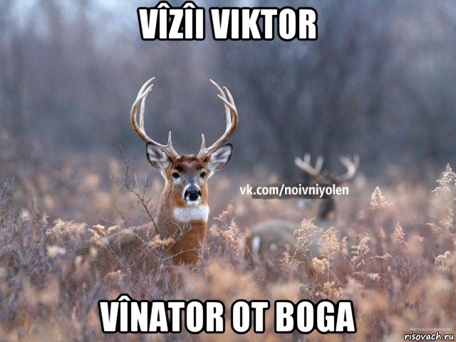 vîzîi viktor vînator ot boga, Мем Наивный Олень vk