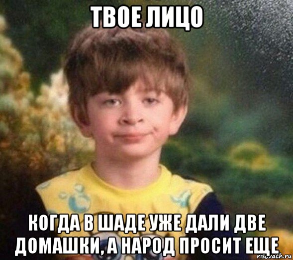 твое лицо когда в шаде уже дали две домашки, а народ просит еще, Мем Недовольный пацан