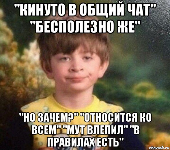 "кинуто в общий чат" "бесполезно же" "но зачем?" "относится ко всем" "мут влепил" "в правилах есть", Мем Недовольный пацан