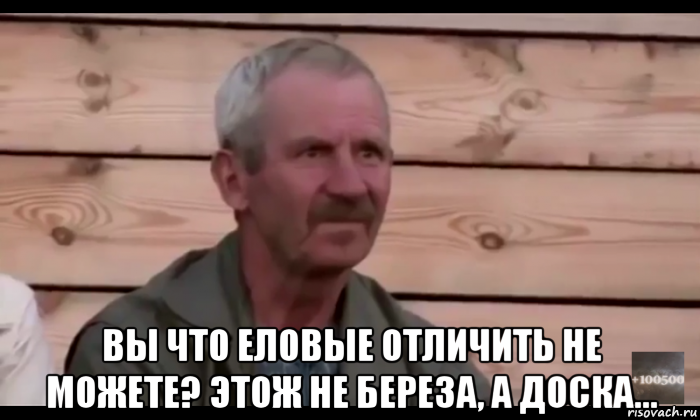  вы что еловые отличить не можете? этож не береза, а доска..., Мем  Охуевающий дед