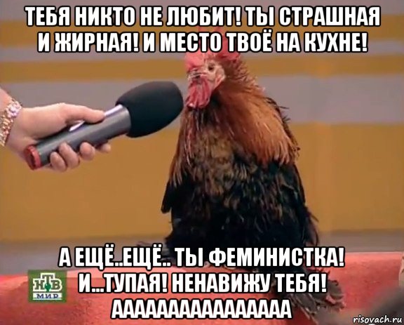 тебя никто не любит! ты страшная и жирная! и место твоё на кухне! а ещё..ещё.. ты феминистка! и...тупая! ненавижу тебя! аааааааааааааааа, Мем петух