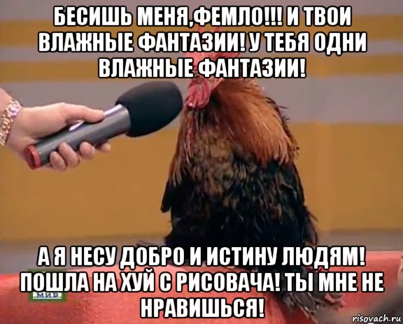 бесишь меня,фемло!!! и твои влажные фантазии! у тебя одни влажные фантазии! а я несу добро и истину людям! пошла на хуй с рисовача! ты мне не нравишься!, Мем петух