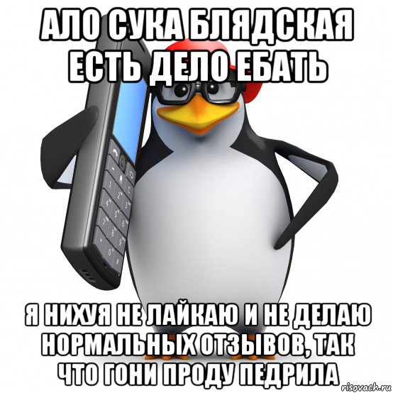 ало сука блядская есть дело ебать я нихуя не лайкаю и не делаю нормальных отзывов, так что гони проду педрила, Мем   Пингвин звонит