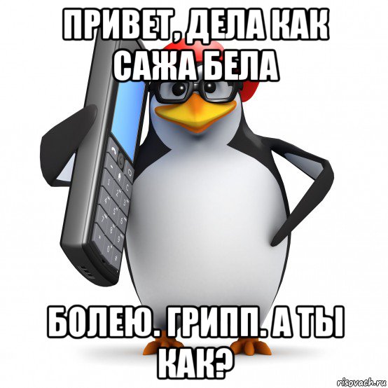 привет, дела как сажа бела болею. грипп. а ты как?, Мем   Пингвин звонит