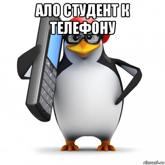 ало студент к телефону , Мем   Пингвин звонит