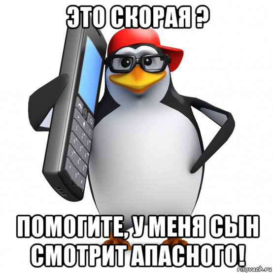 это скорая ? помогите, у меня сын смотрит апасного!, Мем   Пингвин звонит