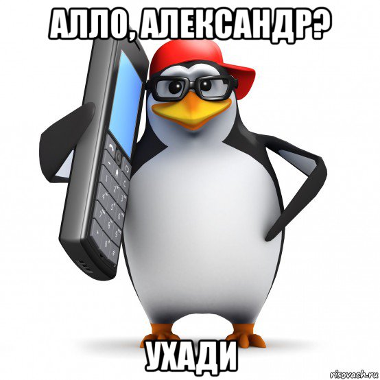 алло, александр? ухади, Мем   Пингвин звонит