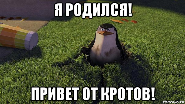 я родился! привет от кротов!