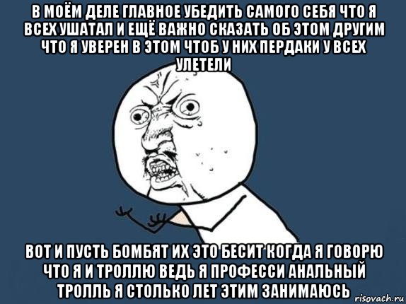 в моём деле главное убедить самого себя что я всех ушатал и ещё важно сказать об этом другим что я уверен в этом чтоб у них пердаки у всех улетели вот и пусть бомбят их это бесит когда я говорю что я и троллю ведь я професси анальный тролль я столько лет этим занимаюсь, Мем  почему мем