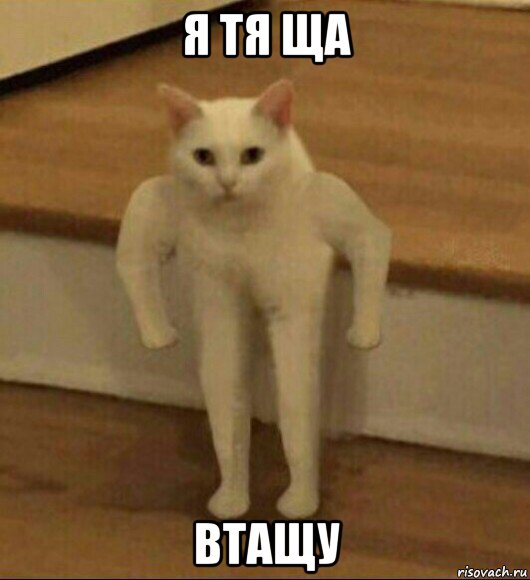 я тя ща втащу, Мем  Полукот