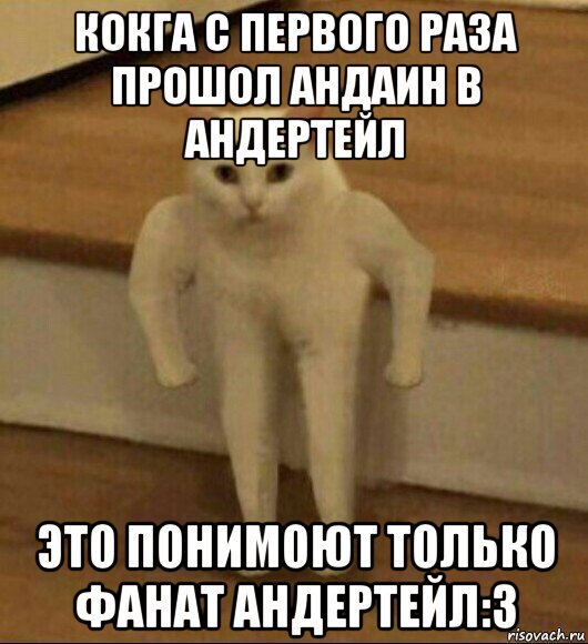 кокга с первого раза прошол андаин в андертейл это понимоют только фанат андертейл:з, Мем  Полукот