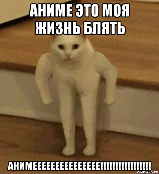 аниме это моя жизнь блять анимеееееееееееееее!!!!!!!!!!!!!!!!!, Мем  Полукот