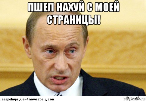 пшел нахуй с моей страницы! , Мем  Путин