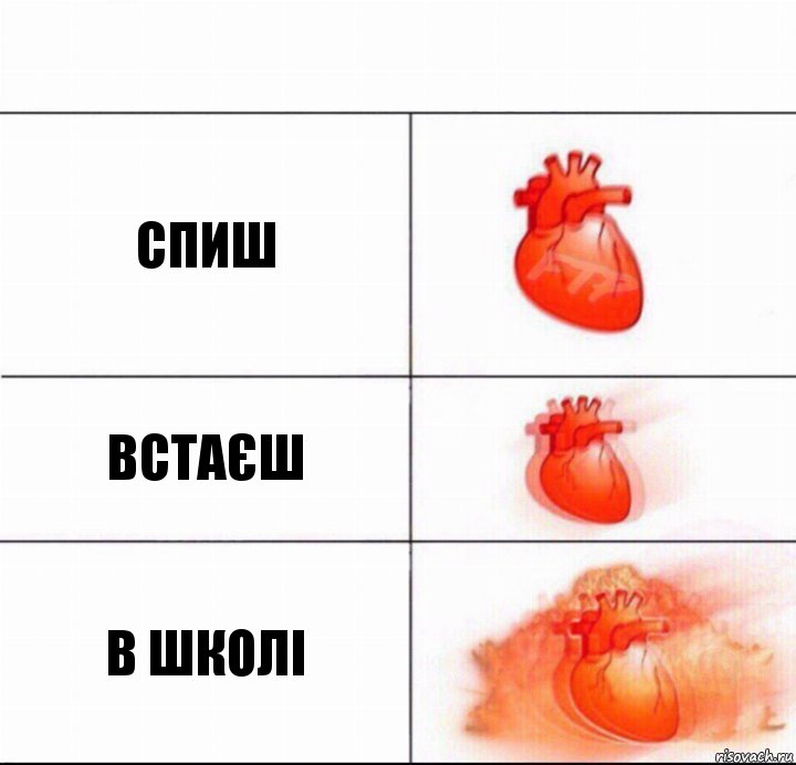 Спиш встаєш в школі