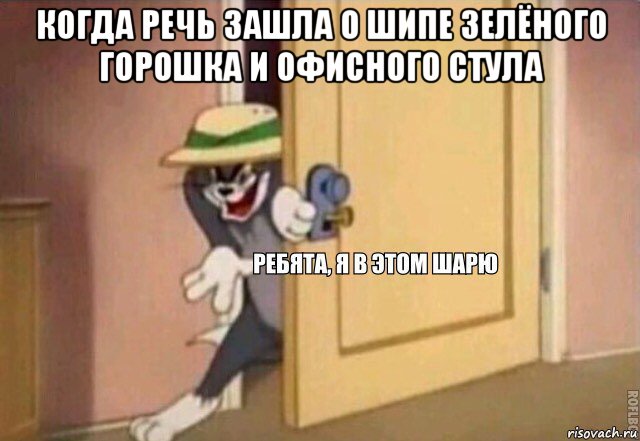 когда речь зашла о шипе зелёного горошка и офисного стула , Мем    Ребята я в этом шарю