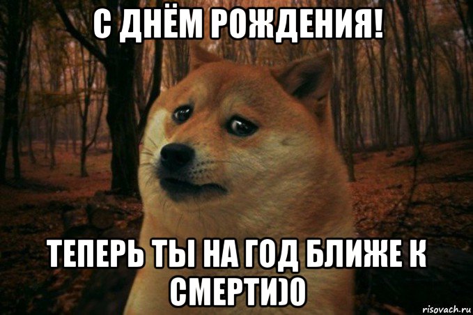 с днём рождения! теперь ты на год ближе к смерти)0, Мем SAD DOGE